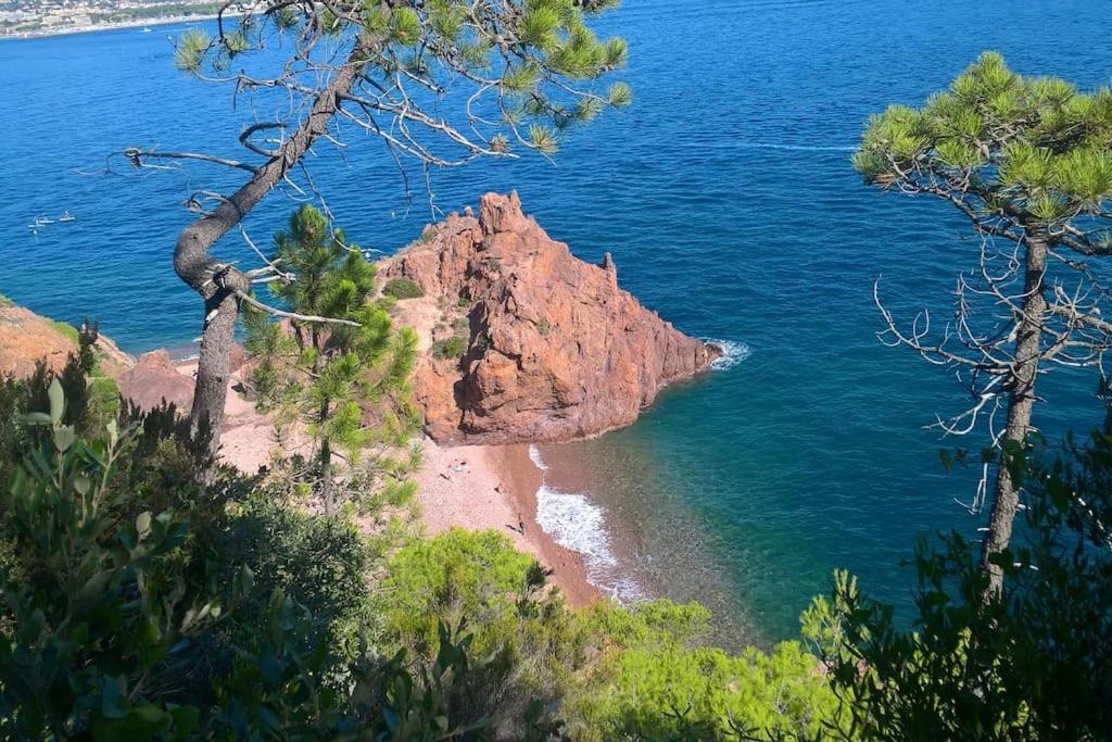 2 Pieces Climatise A 200M Des Plages Theoule-sur-Mer Exterior photo